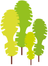 NFM Logo